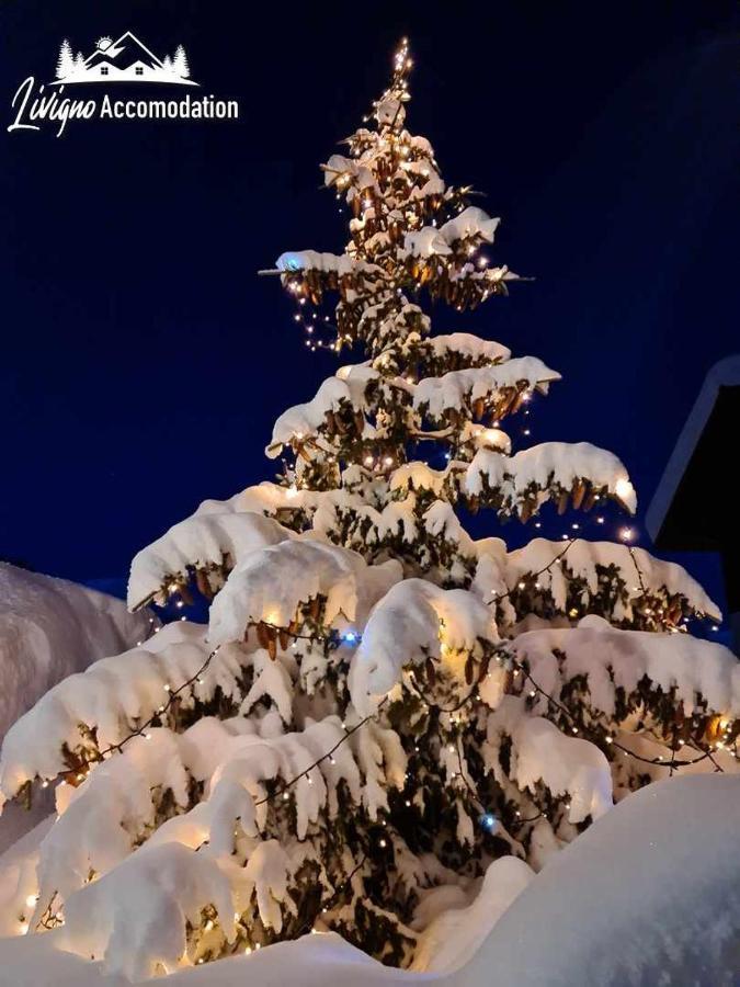 Alpen Royal By Livigno Accomodation Eksteriør billede